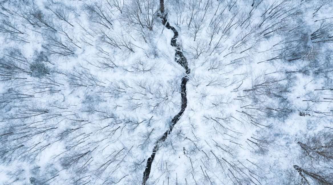 aerial view white forest winter