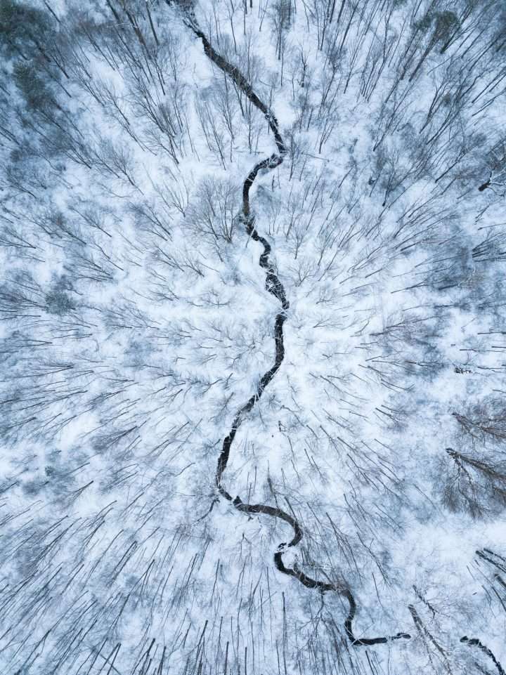 aerial view white forest winter